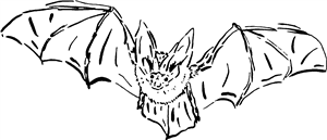 Flying Bat