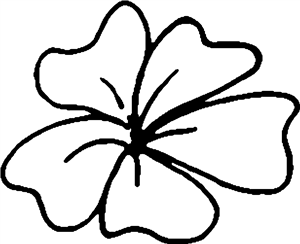 Shamrock