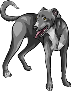Lurcher