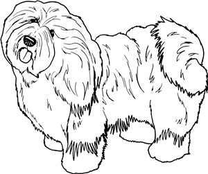Old English Sheepdog