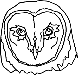 Owl Head