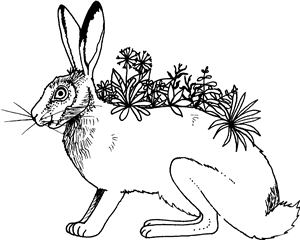 Floral Hare