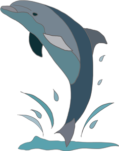 Jumping Dolphin