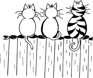 Cats On A Fence