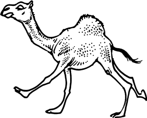 Running Camel