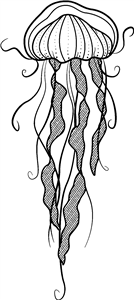Jellyfish