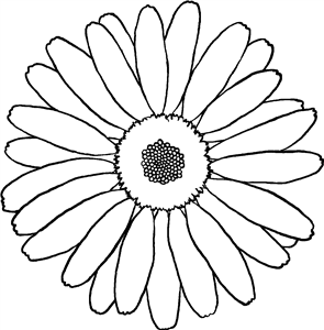 Garden Flower