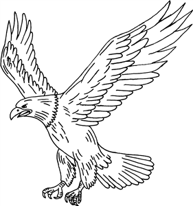 Flying Eagle