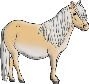 Blonde Shetland Pony