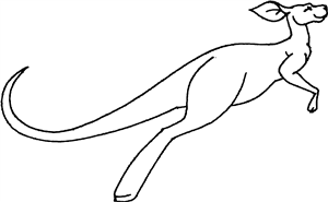 Jumping Kangaroo