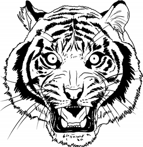 Fierce Tiger