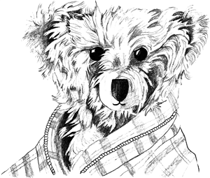 Teddy in Dressing Gown