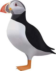 Puffin