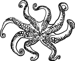 Octopus Tentacles