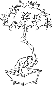 Bonsai Tree