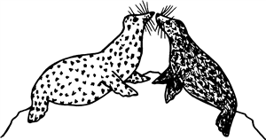 Seals