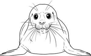 Seal