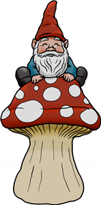 Gnome On Toadstool