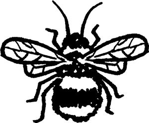 Fuzzy Bee