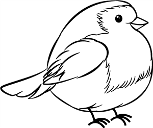 Robin