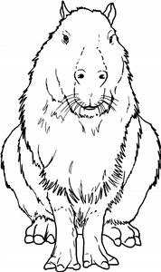 Sitting Capybara