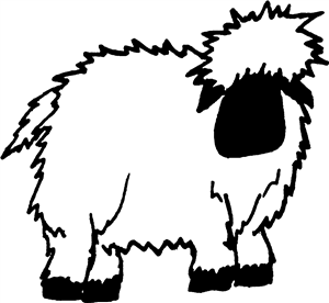 Standing Sheep