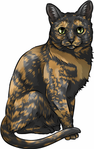 Tortoiseshell Cat
