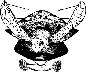 Skateboard Turtle
