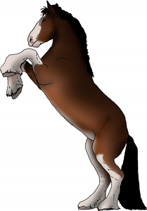 Rearing Shire Horse