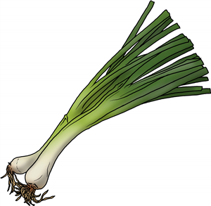 Spring Onions