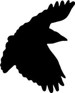 Crow Silhouette