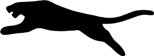 Panther Leap