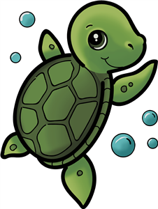 Baby Turtle