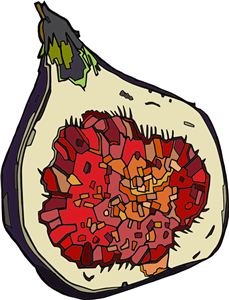 Halved Fig