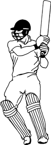 Cricket Batsman