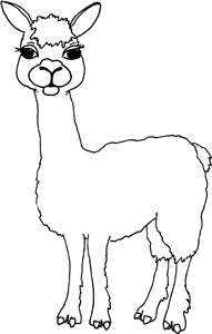 Llama