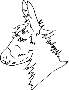 Donkey Face