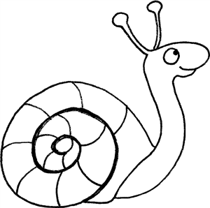 Snail
