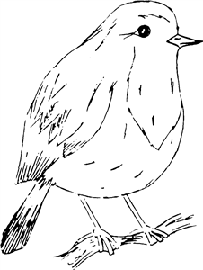 Robin