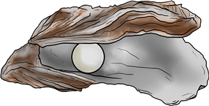 Pearl Oyster