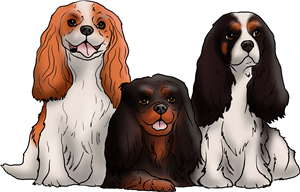 King Charles Spaniels