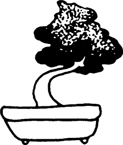 Bonsai Tree