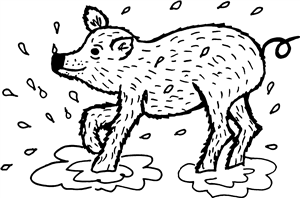 Pig in Mud