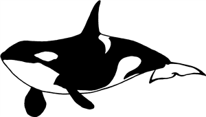 Killer Whale