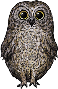 Cute Owl