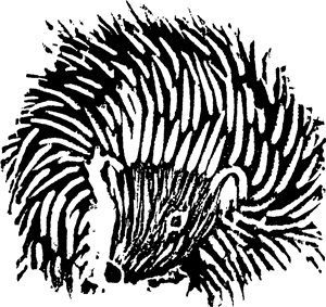 Hedgehog