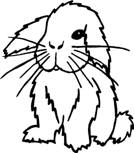 Sitting Bunny