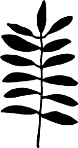 Ash Leaf