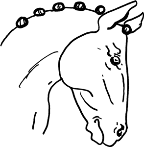 Dressage Horse