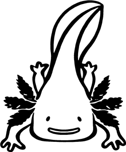 Axolotl